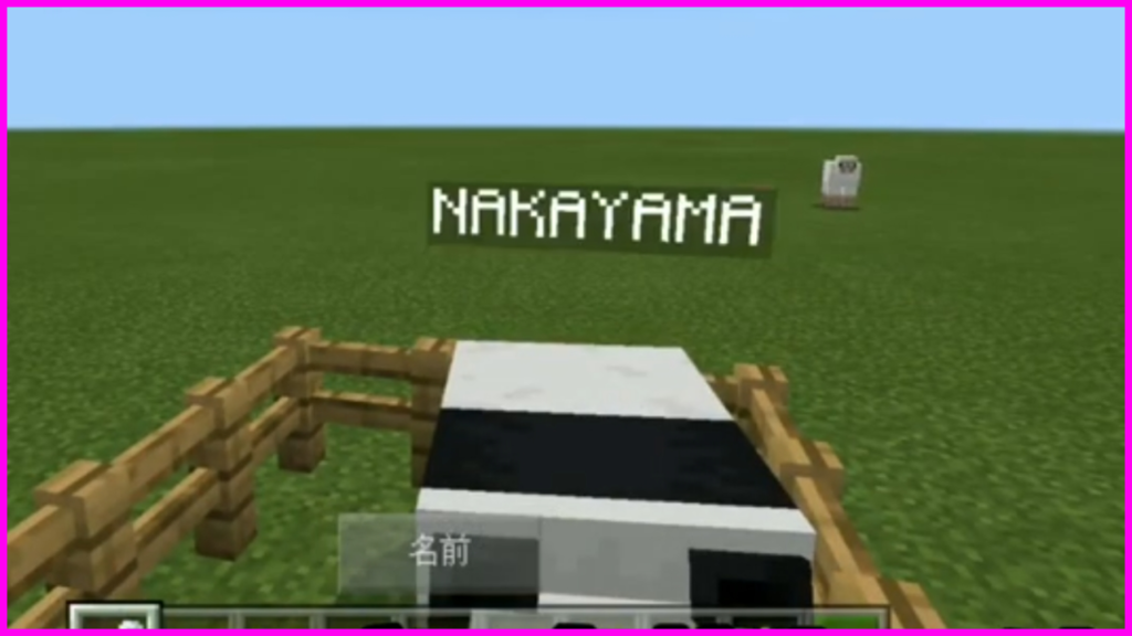 マイクラ,コマンド,変身,やっていく
