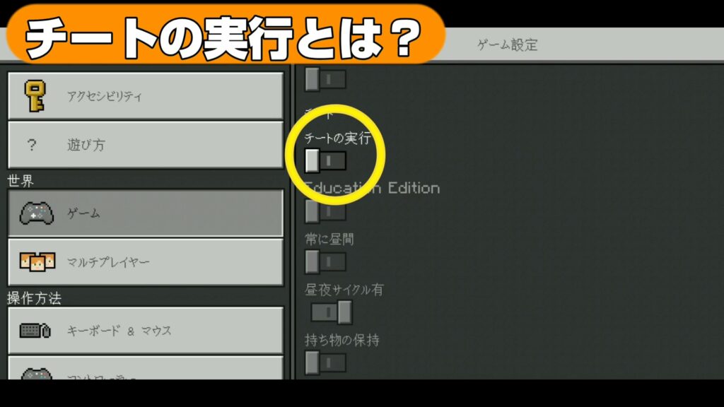 マイクラ,チートの実行,実績,やっていく