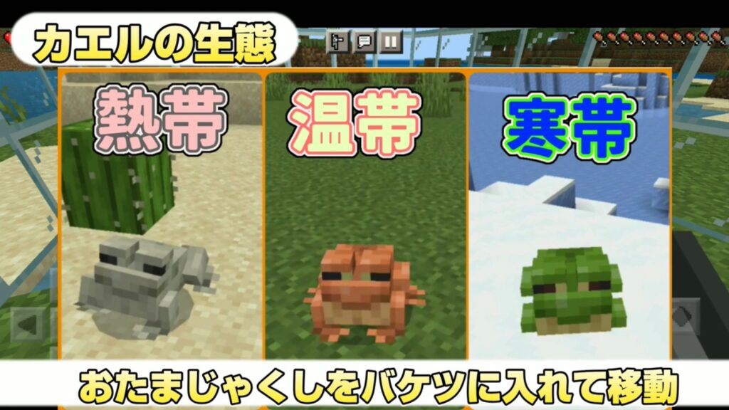 マイクラ,やっていく,おたまじゃくし,カエル,1.19