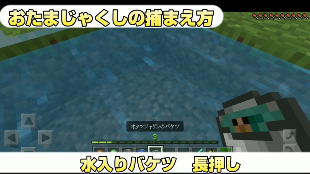 マイクラ,やっていく,おたまじゃくし,カエル,1.19