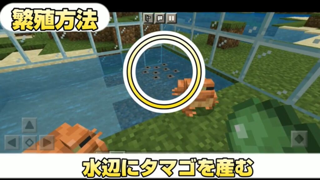 マイクラ,やっていく,おたまじゃくし,カエル,1.19