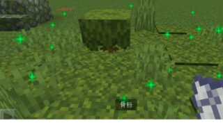 マイクラ,苔ブロック,建築,やっていく,初心者
