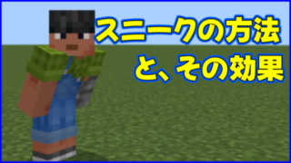 マイクラ.minecraft,スニーク,しゃがむ