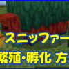 マイクラ,minecraft,スニッファー,1.20,モブ,孵化,繁殖,スニッファーの卵,トーチフラワー