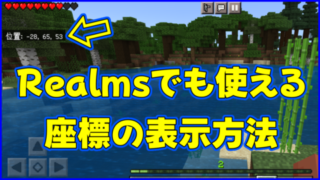 マイクラ,minecraft,座標,コマンド,Realms