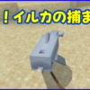 マイクラ,minecraft,イルカ,首ヒモ