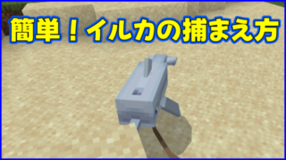 マイクラ,minecraft,イルカ,首ヒモ