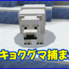 マイクラ,minecraft,ホッキョクグマ,首ヒモ
