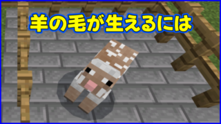 マイクラ】羊の毛が生えるには