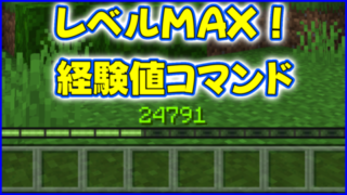マイクラ,minecraft,コマンド,経験値