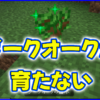 マイクラ,minecraftダークオーク,黒樫,骨粉,育たない,苗木