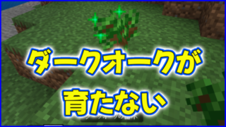 マイクラ,minecraftダークオーク,黒樫,骨粉,育たない,苗木