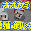 マイクラ,minecraft,オオカミ,繁殖,飼い方