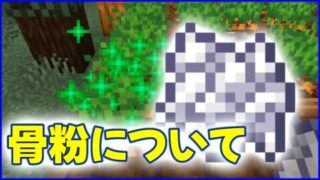 マイクラ,minecraft,ブロック,骨粉,コンポスター