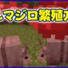 マイクラ,minecraft,アルマジロ,繁殖,クモの目