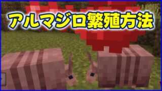 マイクラ,minecraft,アルマジロ,繁殖,クモの目