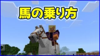 馬の乗り方