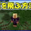 空を飛ぶ方法