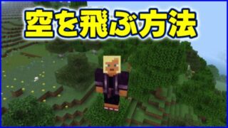 空を飛ぶ方法