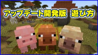 アップデート開発版の遊び方