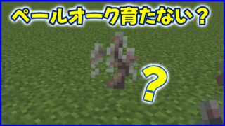 ペールオーク育たない？