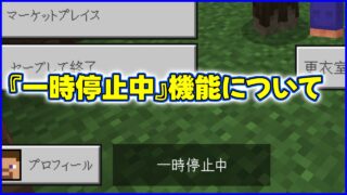 マイクラ】『一時停止中』機能について