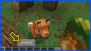 エサを与える