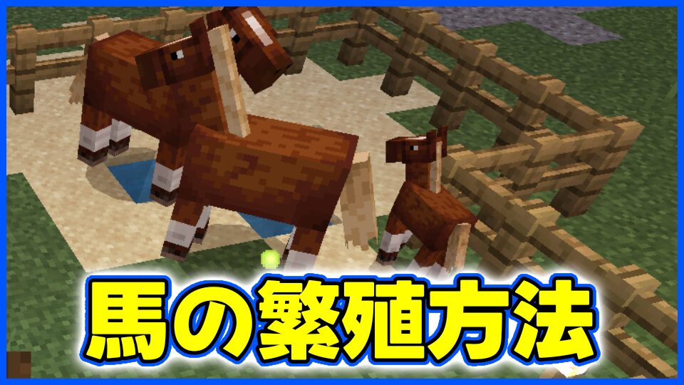 馬の繁殖方法