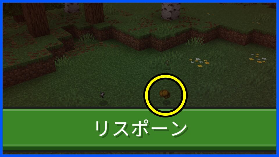 ドロップアイテム